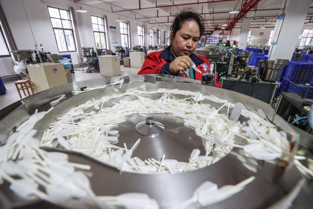 每個羽毛球要用上16根鵝翅膀的翎毛，而一隻鵝只有14根。圖中為當地一間羽毛球工廠。